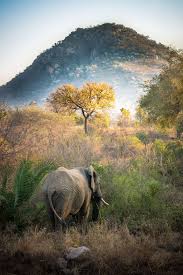 Elephant Berg En Dal Kruger National Park South Africa By Scottphotographics Africa Travel National Parks Africa