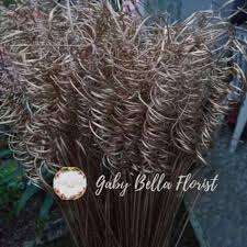 Batang pohon yang bisa anda dapatkan dengan mudah akan menjadi dekorasi yang cantik di sudut rumah anda yang. Jual Asesories Natal Bunga Natal Bunga Kering Gold Hiasan Pohon Natal Pohon Natal Dried Flowers Online Maret 2021 Blibli