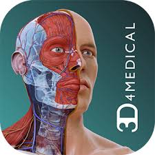 But, your soleus muscle in your lower leg and muscles in your. Students Complete Anatomy