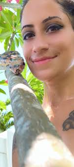 boa removal assistance in Eleuthera, Upper Bogue