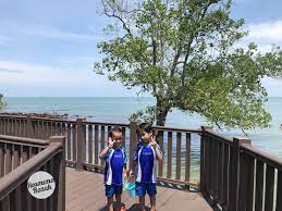 You will feel privacy when staying at our homestay. Travel 2018 Campsite Batu 4 Port Dickson Negeri Sembilan