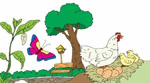 Mar 18, 2021 · baca juga: Kunci Jawaban Tema 1 Kelas 3 Halaman 125 126 128 129 130 Subtema 3 Pertumbuhan Hewan