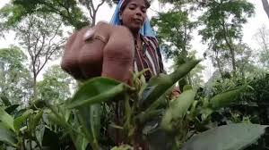 Porn site twins April and Amelia Maddison- your fascination