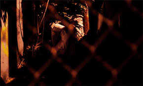 Search, discover and share your favorite curse of la llorona gifs. Horror Movie Rankdown 2 0 Return Of The Living Rankers Page 33 Rankdowns Idolforums Com