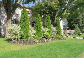 Sie haben ein einfamilienhaus gemietet, zu dem ein garten gehört? Zypressen Pflanzen Anleitung Und Tipps