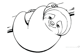 The sloth is the most cute and popular arboreal mammals in this planet. Cute Sloths Coloring Pages Novocom Top