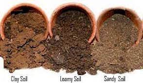 Garden Soil Types Clay Soil Loamy Soil Sandy Soil Chalky Soil Sandy Soil Garden Soil Preparation Clay Soil