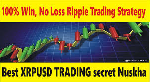 We have selected those courses not only courses we also research about the best author of the course. 100 No Loss Best Crypto Strategy Cryptocurrency Trading Course Part 4