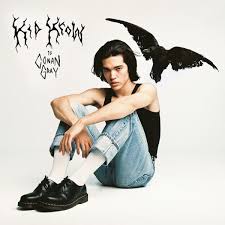 Conan Gray Kid Krow In 2020 Music Album Cover Iconic Album Covers Cool Album Covers