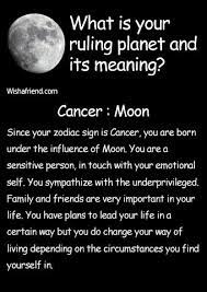 (well, the moon does that too… ). 70 Moon Signs Ideas Moon Signs Astrology Moon