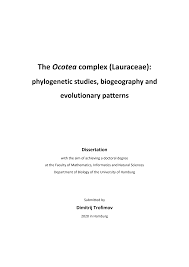 Image result for Synandrodaphne paradoxa