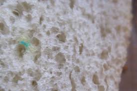 How does it get into a house? This Is What Happens If You Accidentally Eat Moldy Food Phillyvoice