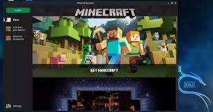 I play on windows and he use linux. Playing Games In Kali Linux