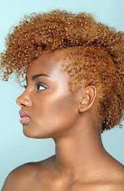 Black, as well as dark brown hair itself, looks very beautiful, but if you try the following ideas of black hair with honey blonde highlights, you will see the difference straight away. 40 Awesome Afroamerikaner Frisuren Und Haarschnitte Luise Site Blonde Natural Hair Natural Hair Styles For Black Women African American Hairstyles