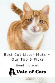 Best Cat Litter Mats Our Top 5 Picks In 2020 Small Cat Breeds Cat Breeds Best Cat Litter
