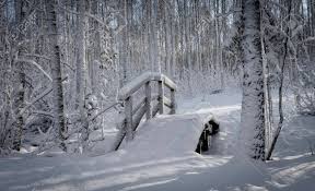 Hd to 4k quality, all free for download! Pretty Snow Covered Arched Bridge Over A Stream In Winter Woodland Stock Photo Picture And Royalty Free Image Image 116808190