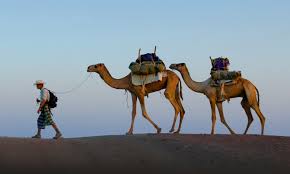 Exhausted by the heat of the desert they try and haggle a local camel hire merchant for a cheap ride. National Geographic Out Of Eden Walk