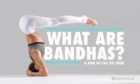 Ingin mengikuti pelatihan yoga yang sedang ngetren di kota bandung? What Are Bandhas How To Engage Them To Enhance Your Yoga Practice