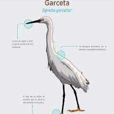 Pdf formatted 8.5 x all pages. Garceta Recursos Educativos Digitales
