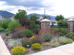 Wherever a desert landscape gardener finds. Desert Horticulture Dixie Gardener Dixiegardener Org Desert Landscape Design Desert Landscaping Xeriscape