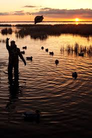 Are you searching for duck hunting png images or vector? Free Download Displaying 18 Gallery Images For Duck Hunting Iphone Backgrounds 640x960 For Your Desktop Mobile Tablet Explore 76 Duck Hunting Backgrounds Free Waterfowl Hunting Wallpaper Duck Screensavers And Wallpaper