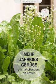 Mehrjahrige Gemuse Einmal Pflanzen Immer Ernten Gemuse Pflanzen Pflanzen Garten Anpflanzen