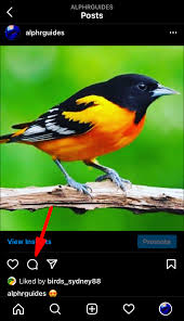 2.next, select a photo from your gallery or capture a picture and click the aaoption on the top right corner. How To Tag Someone After Posting On Instagram
