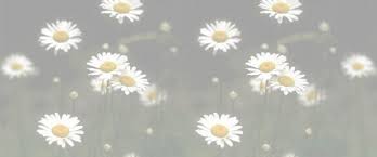 Miranda Alvarado Obituary Forney Texas Iles Funeral Homes Forney Funeral Home Obituaries