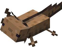 Clicking on it with a water bucket will yield a bucket of axolotl. Axolotl Official Minecraft Wiki