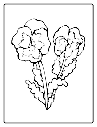 Find free printable little girl with flower coloring pages for coloring activities. Flower Coloring Pages00025im Jpg 671 869 Flower Coloring Pages Colorful Flowers Coloring Pages