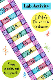 Identifying nucleotides by digital world. Dna Structure And Replication Lab Activity Worksheet Lab Activities Dna Activities Free Science Worksheets