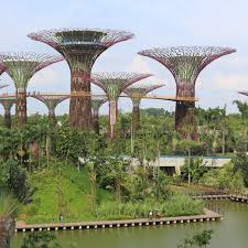 Dieses botanische wunderland befindet sich neben dem yachthafen am wasser und besteht aus zwei gartenbereichen mit einer atemberaubenden vielfalt an pflanzen, seen und superbäumen. Die Stadt Der Zukunft Heisst Birdicity
