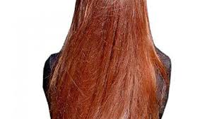 This way the henna will stay longer in your hair and the color would develop more properly, otherwise, if your hair would be dirty the henna molecules will not make the proper bond with the natural hair oil and color will fade away within a week. Henna For Hair Dye Natural Hair Color Ayurwoman Ayurveda Clinic