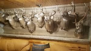 If you have more than one big game hunting trophy to display, we provide custom trophy room consultations, design, and construction. Let S See Your Trophy Room Man Cave Page 2 Hunt Talk