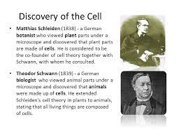 Besides, what is the animal cell parts and functions? Discovery Of The Cell Robert Hooke 1665 English Scientist Who Looked At Thin Slices Of Cork Dead Oak Tree Bark Under A Light Microscope And Noticed Ppt Download