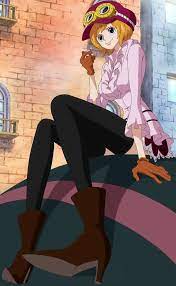 Koala One Piece Wiki Fandom In 2021 Koala One Piece One Piece Images One Piece Manga