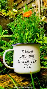 Blumen Sind Das Lachen Der Erde Blumen Spruch Blumen Lachen