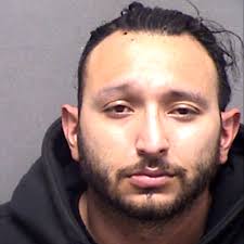 After her pit bulls killed...