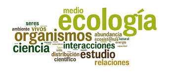 Resultado de imagen para ecologÃ­a