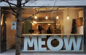 Cat Cafe Nyc Cat Cafe Cafe Design Cafe Interior