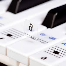 Die 52 aufkleber decken die gebräuchlichsten noten ab und passen auf klaviaturen mit 37, 44, 49, 54, 61, 76 und 88 tasten. ÙŠØ­ØªÙ‚Ø± Ø¨Ø´ÙƒÙ„ Ù…Ø³ØªÙ‚Ù„ Ø¹Ø§Ù…Ù„ Ø³ÙŠØ¦ Klaviertastatur Mit Beschriftung Amazon Cabuildingbridges Org