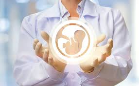 In Vitro Fertilisation Is Ivf 100 Successful Busting Commonly Believed Myths About Ivf