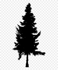 1,000+ vectors, stock photos & psd files. Pine Tree Silhouette Png Silhouette Tree Transparent Bg Png Download 480x924 47694 Pngfind