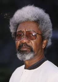 Quotes by Wole Soyinka @ Like Success via Relatably.com