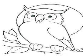 Sketsa gambar burung hantu terbaru gambarcoloring via gambarcoloring.blogspot.com. 5 Contoh Sketsa Gambar Burung Hantu Kolase Cara Mewarnai