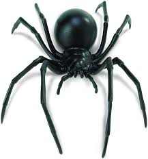 Amazon Com Safari Ltd Hidden Kingdom Black Widow Spider Realistic Hand Painted Toy Figurine For Ages 3 And Up Large Toys Games