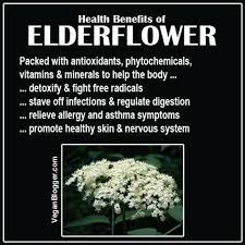 Maybe you would like to learn more about one of these? Comfort Spring Station Elderflower Health Benefits Herbs For Health