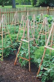 A vegetable garden is a great way to do both of these things. Gardening Fast Growing Veggies Backyard Vegetable Gardens Vegetable Garden Design Growing Vegetables