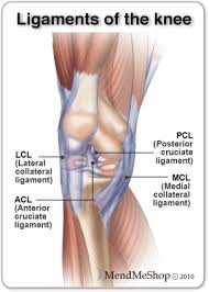 Knee T Shellz Wrap Knee Injury Knee Ligament Injury Knee Ligaments