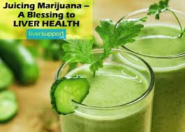 Juicing Marijuana Might Be A Blessing To Chronic Liver Disease